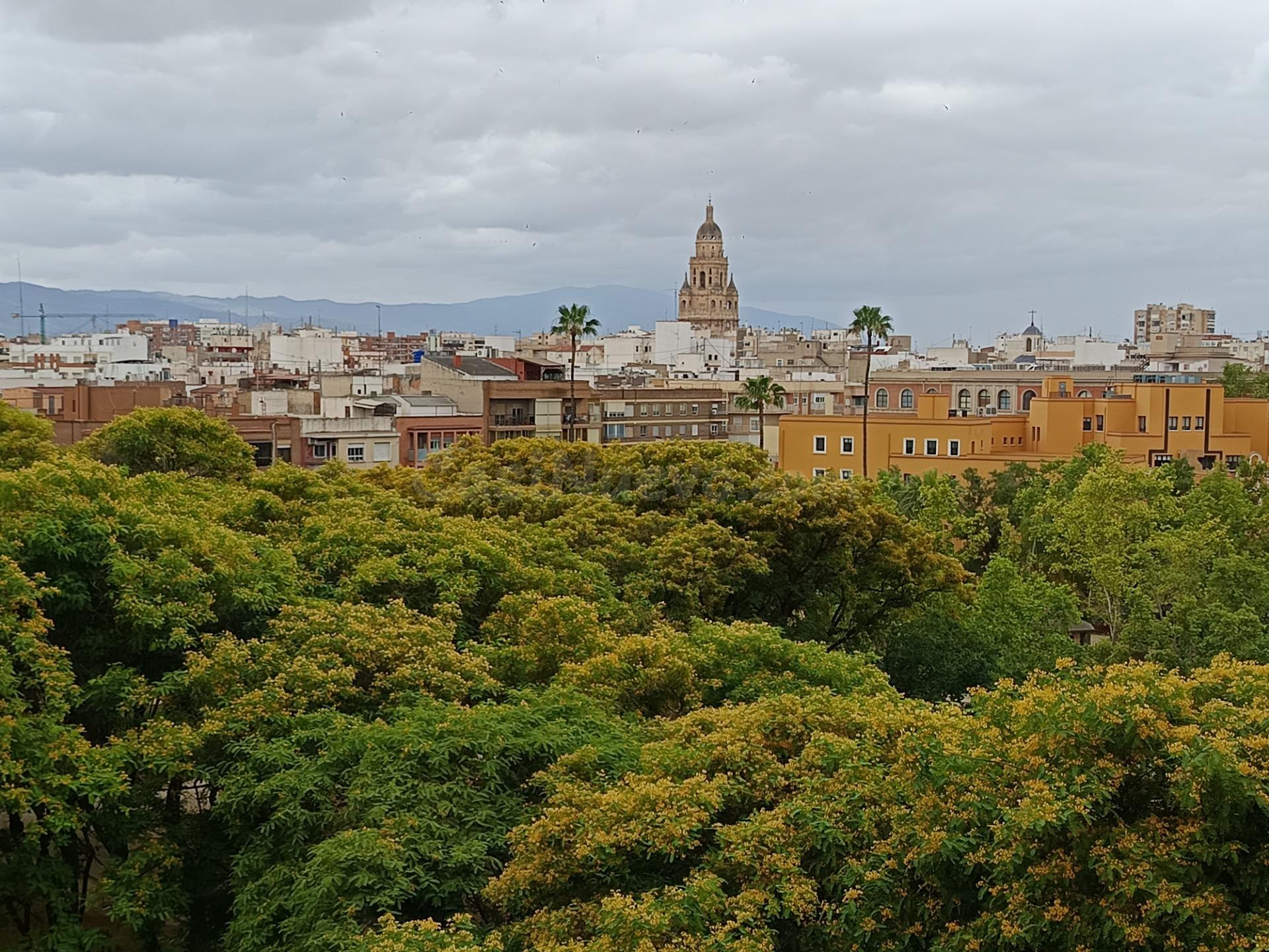 PISO EN LA FAMA PROXIMO A LA UNIVERSIDAD... Y TIENE VISTAS A