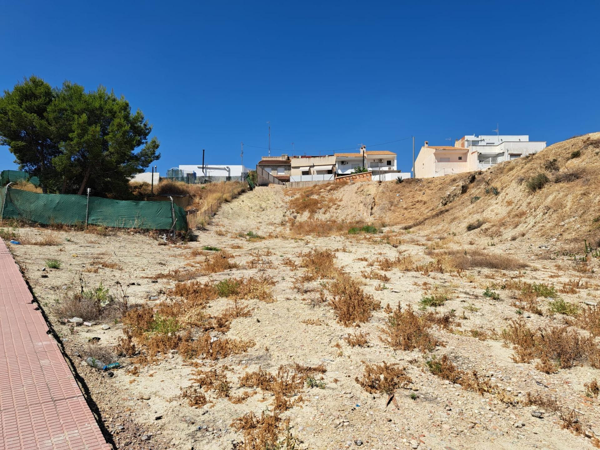 Terreno rural en venta - Lorquí - foto 5