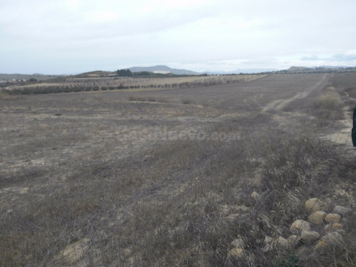 Parcela 144m² en venta - Reolid