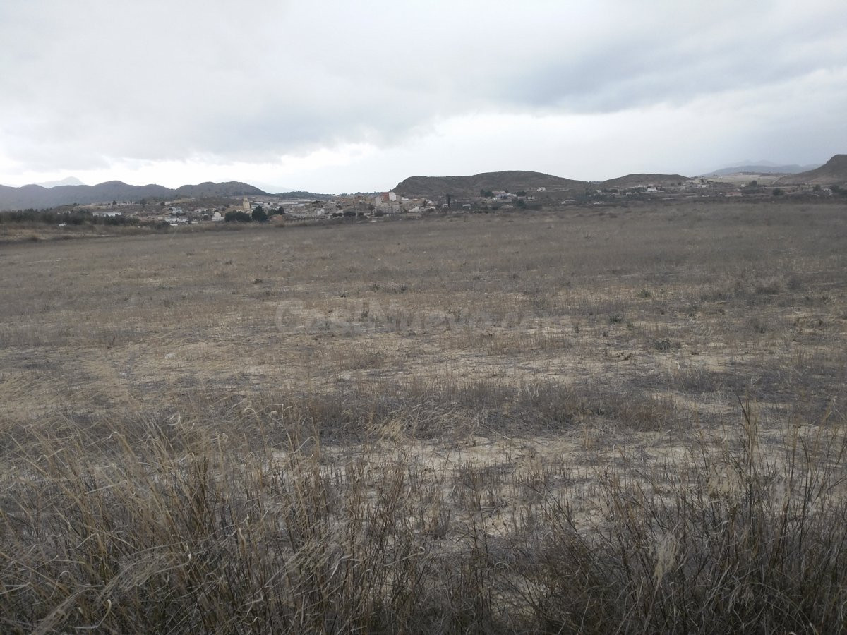 Parcela 144m² en venta - Reolid - foto 2