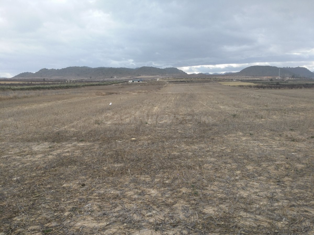 Parcela 144m² en venta - Reolid - foto 3