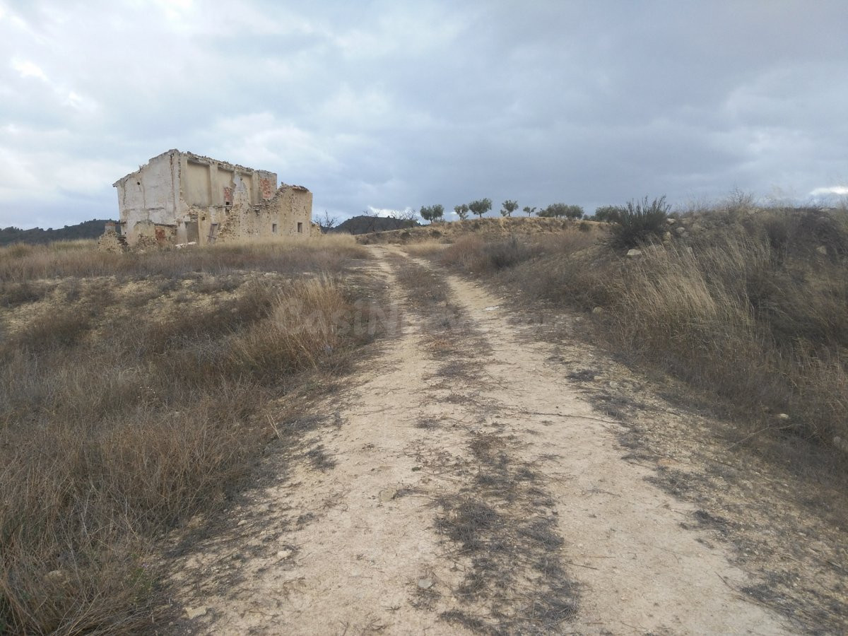 Parcela 144m² en venta - Reolid - foto 5
