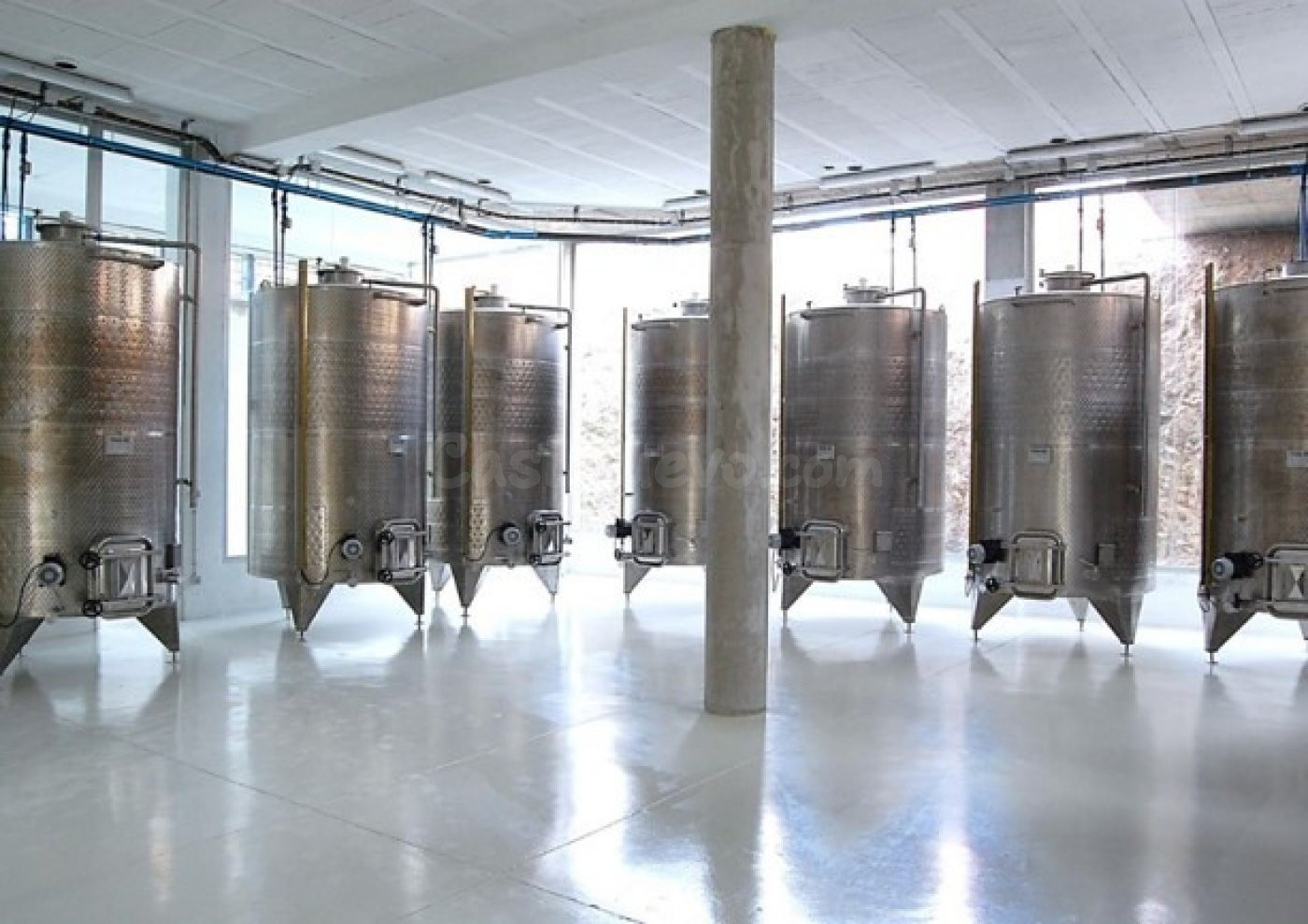 Bodega en venta - CEHEGIN - foto 5