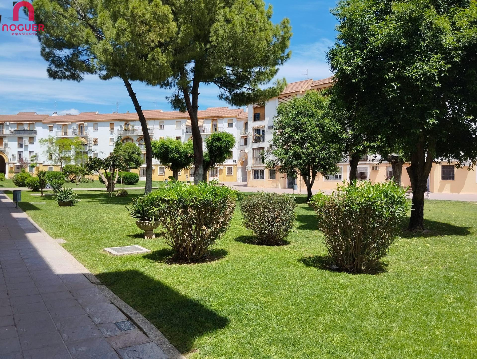 PLANTA BAJA CON PATIO EN LA ZONA DEL CARMEN
