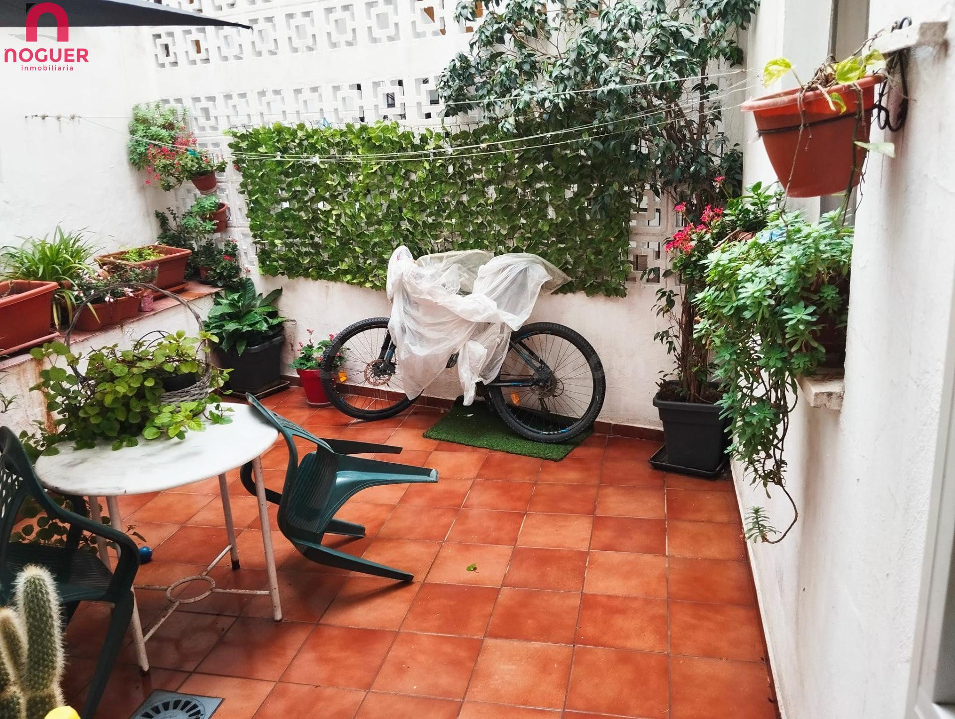 PLANTA BAJA CON PATIO EN LA ZONA DEL CARMEN - foto 2