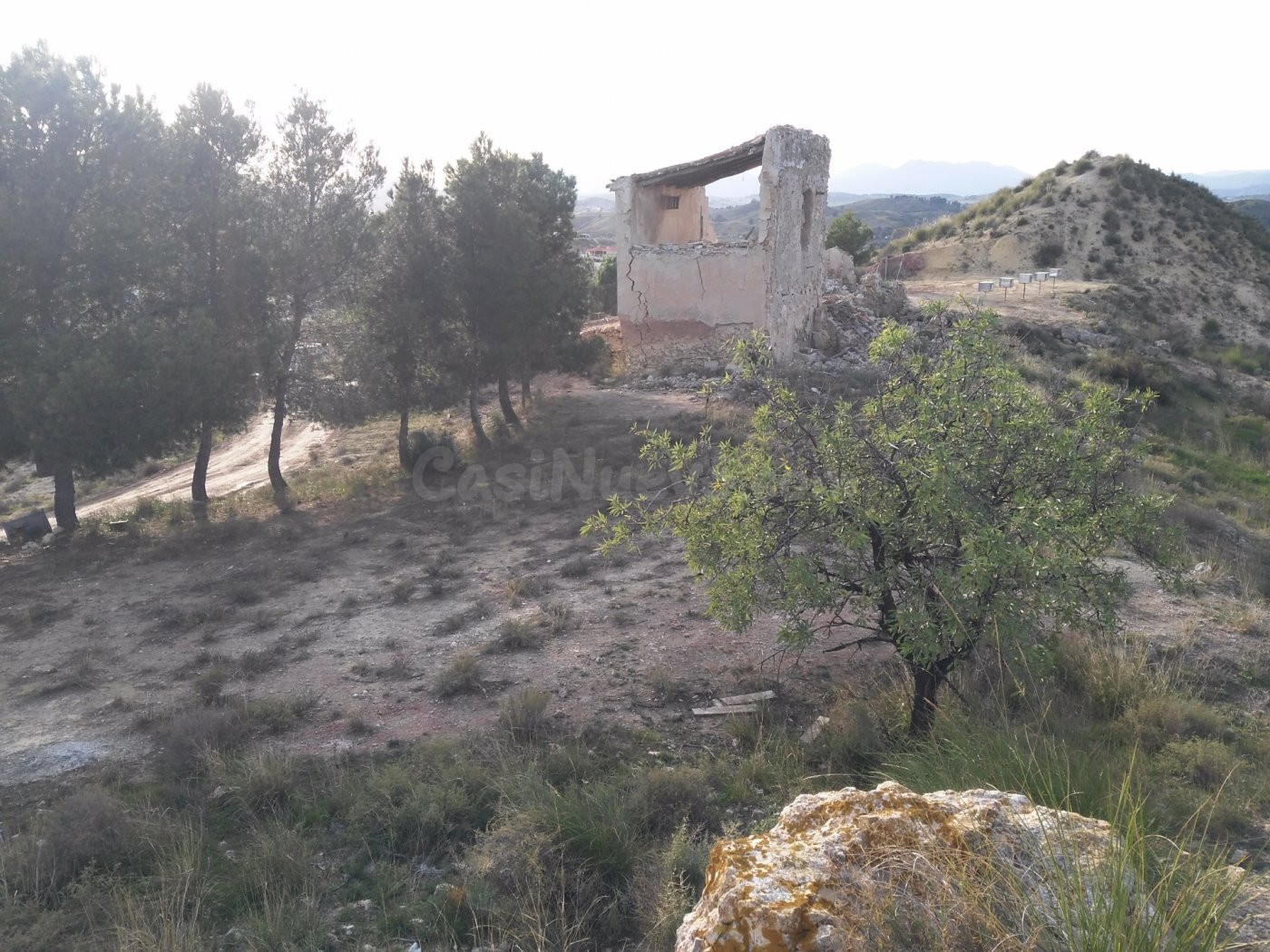 Parcela en venta - Calasparra - foto 2
