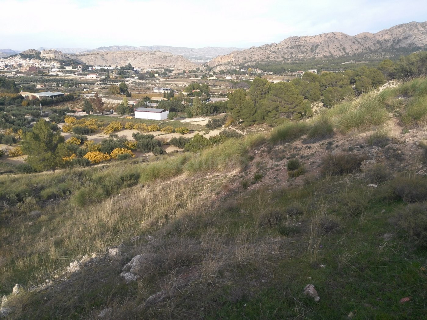 Parcela en venta - Calasparra - foto 4