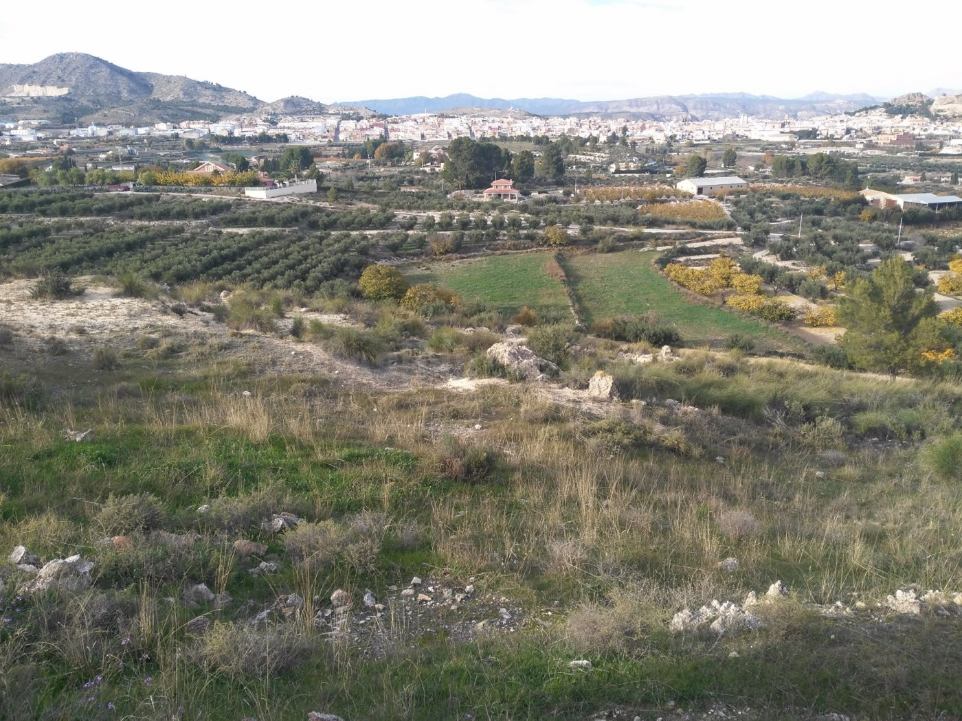 Parcela en venta - Calasparra - foto 5