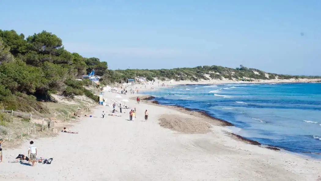 CHALET ADOSADO EN VENTA EN SES SALINES, MALLORCA. - foto 2