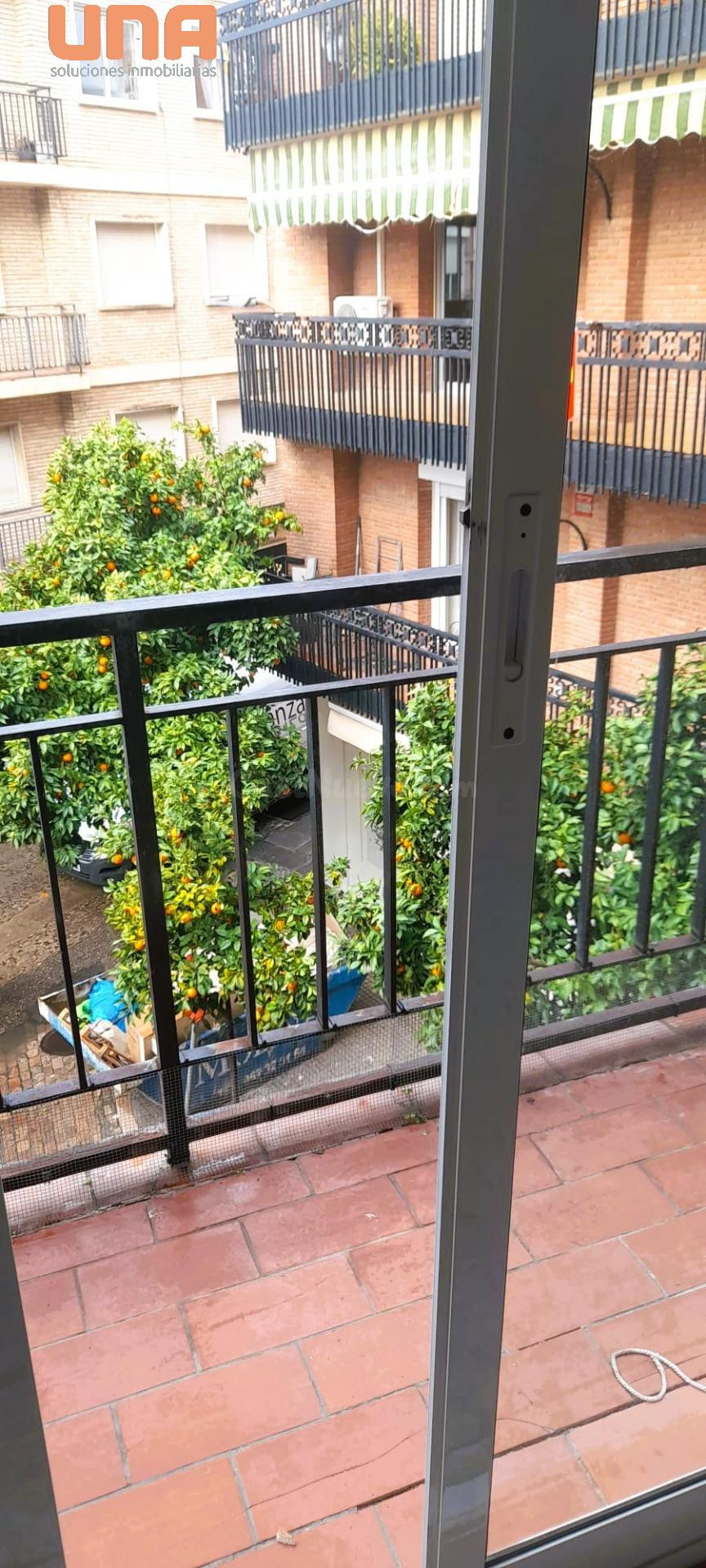 Gran piso en zona centro - foto 3