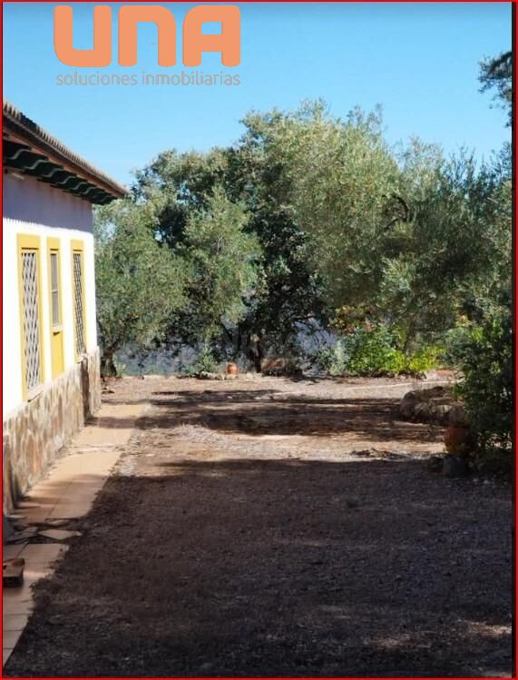 Parcela con explotación de olivares y con casa a12 Km de Vil - foto 4
