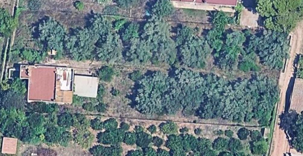Maset en Castellón, zona Lledó