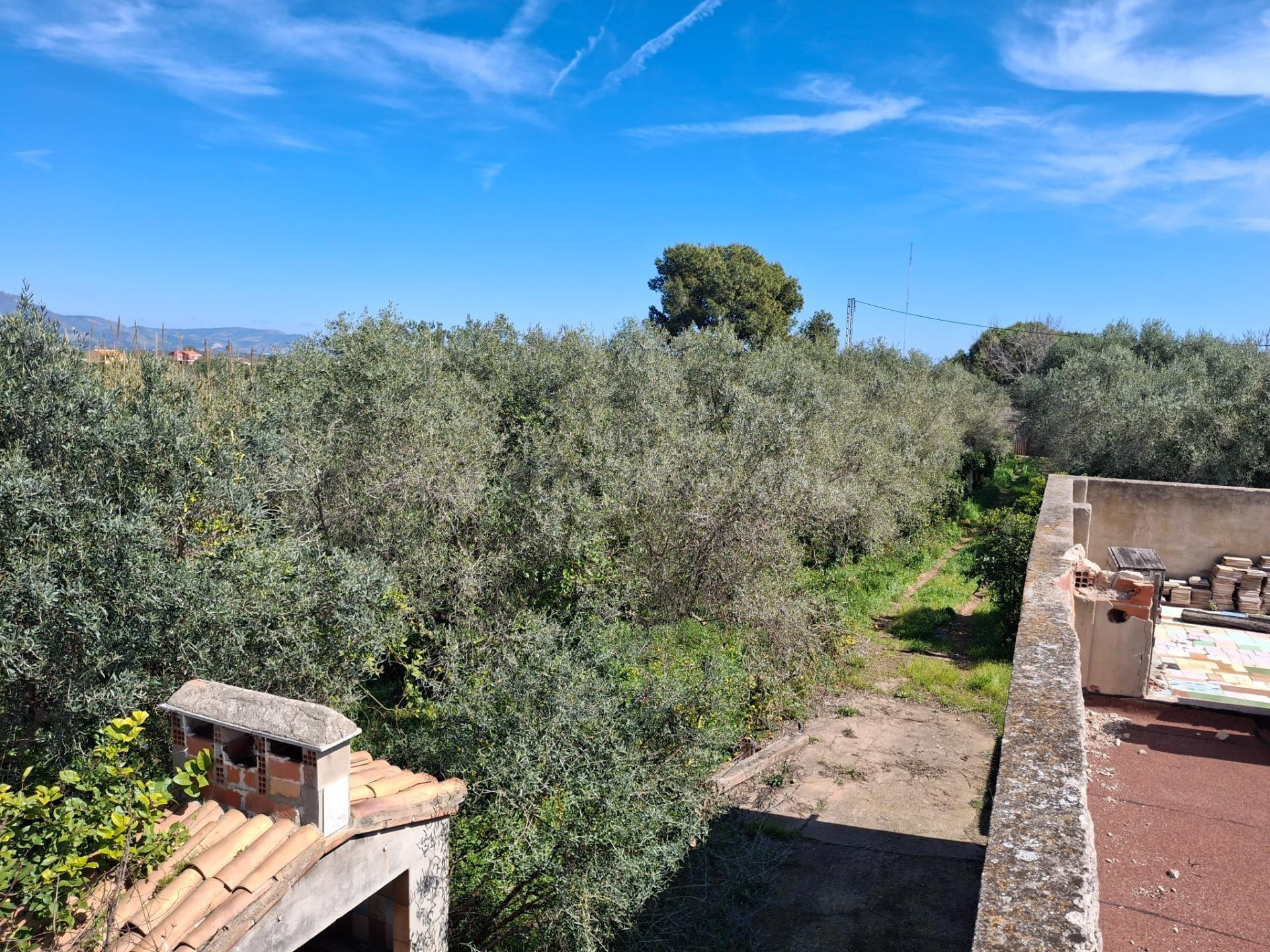 Maset en Castellón, zona Lledó - foto 5