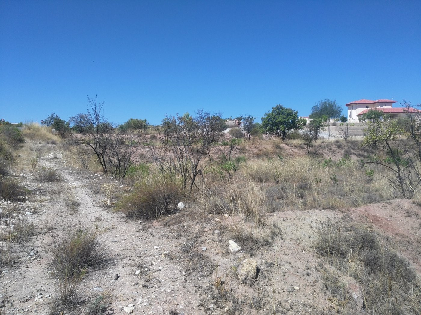 Parcela en venta - Calasparra