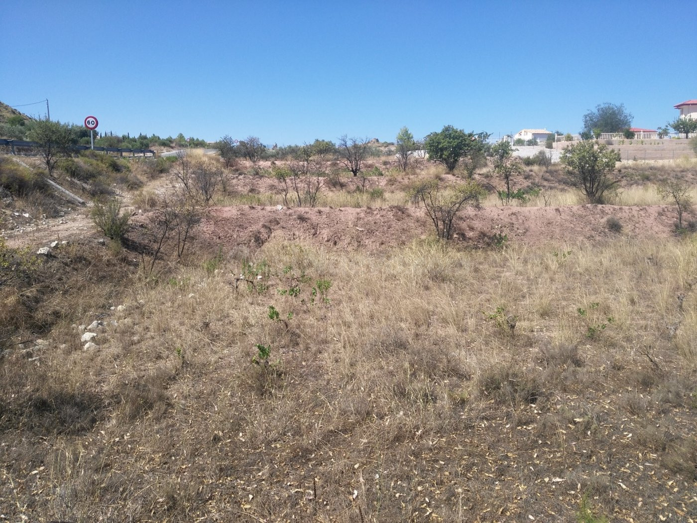 Parcela en venta - Calasparra - foto 2