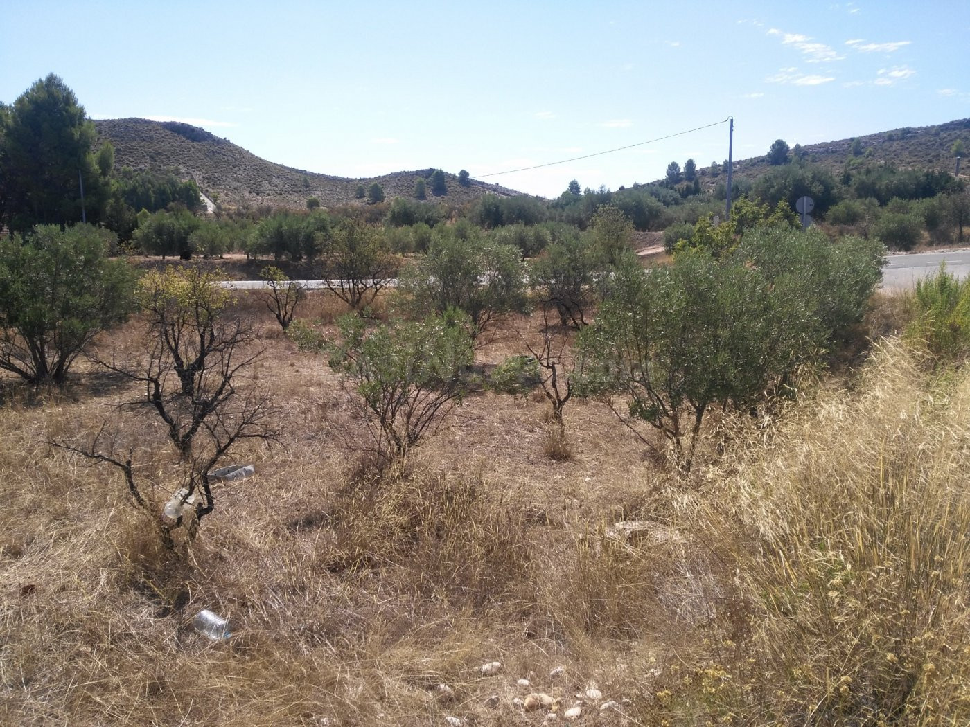 Parcela en venta - Calasparra - foto 3