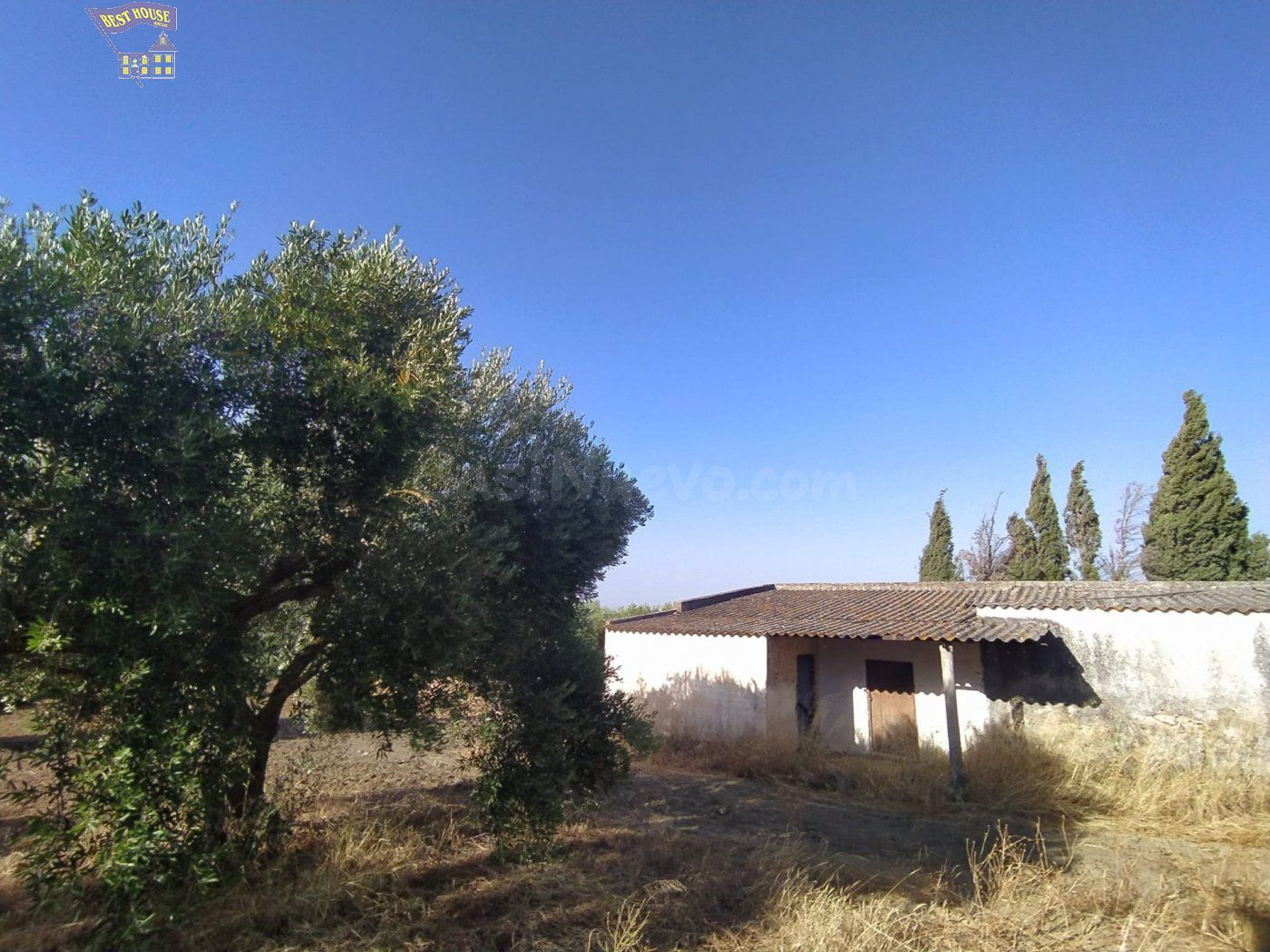 SE VENDE FINCA RUSTICA EN CARRETERA ARCOS-ALGAR