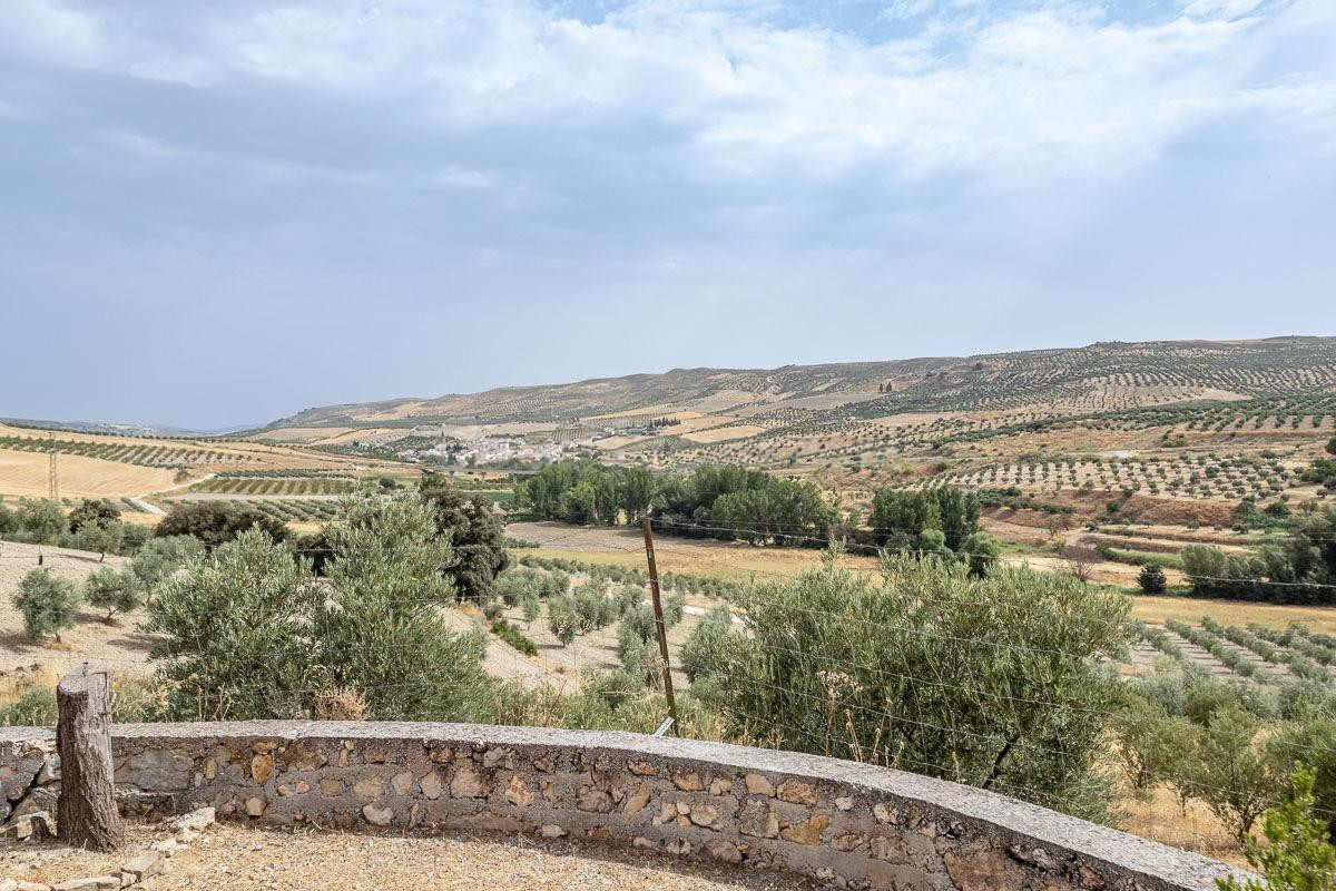 ## Encantadora Villa de Campo con Piscina, 34.085 m2 de Terr - foto 3