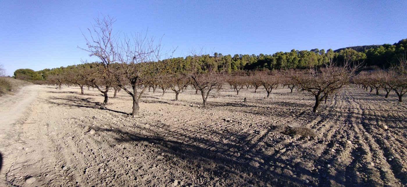 Parcela 300m² en venta - Moratalla