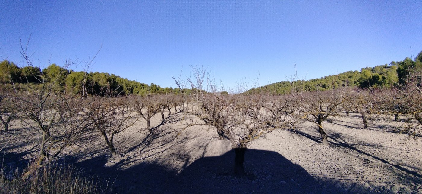 Parcela 300m² en venta - Moratalla - foto 2