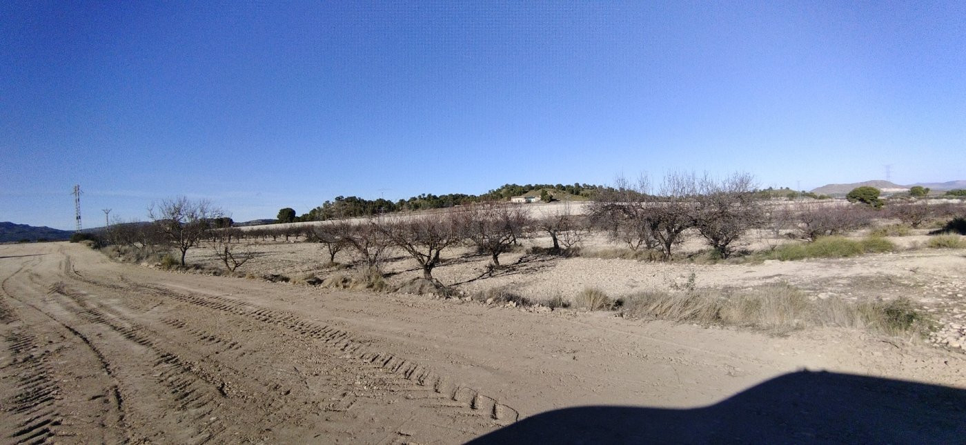 Parcela 300m² en venta - Moratalla - foto 5