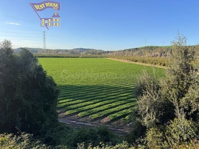 SE VENDE TERRENO RÚSTICO EN ZONA DE LA PEDROSA