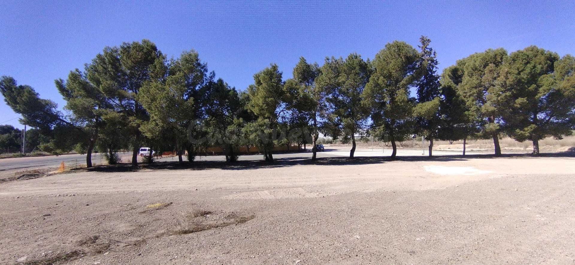 Local comercial en venta - Calasparra - foto 4