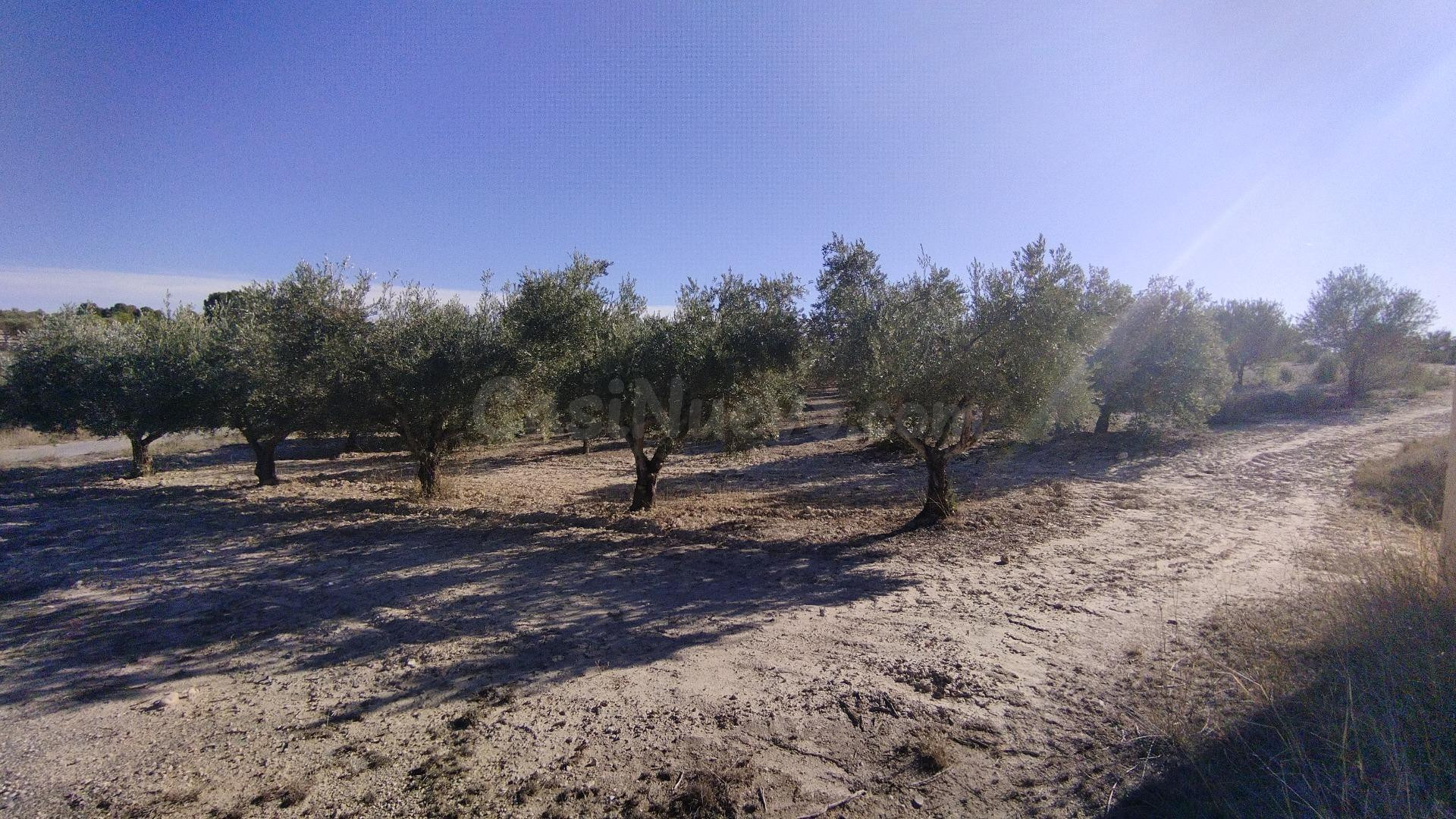 Parcela 130m² en venta - Moratalla