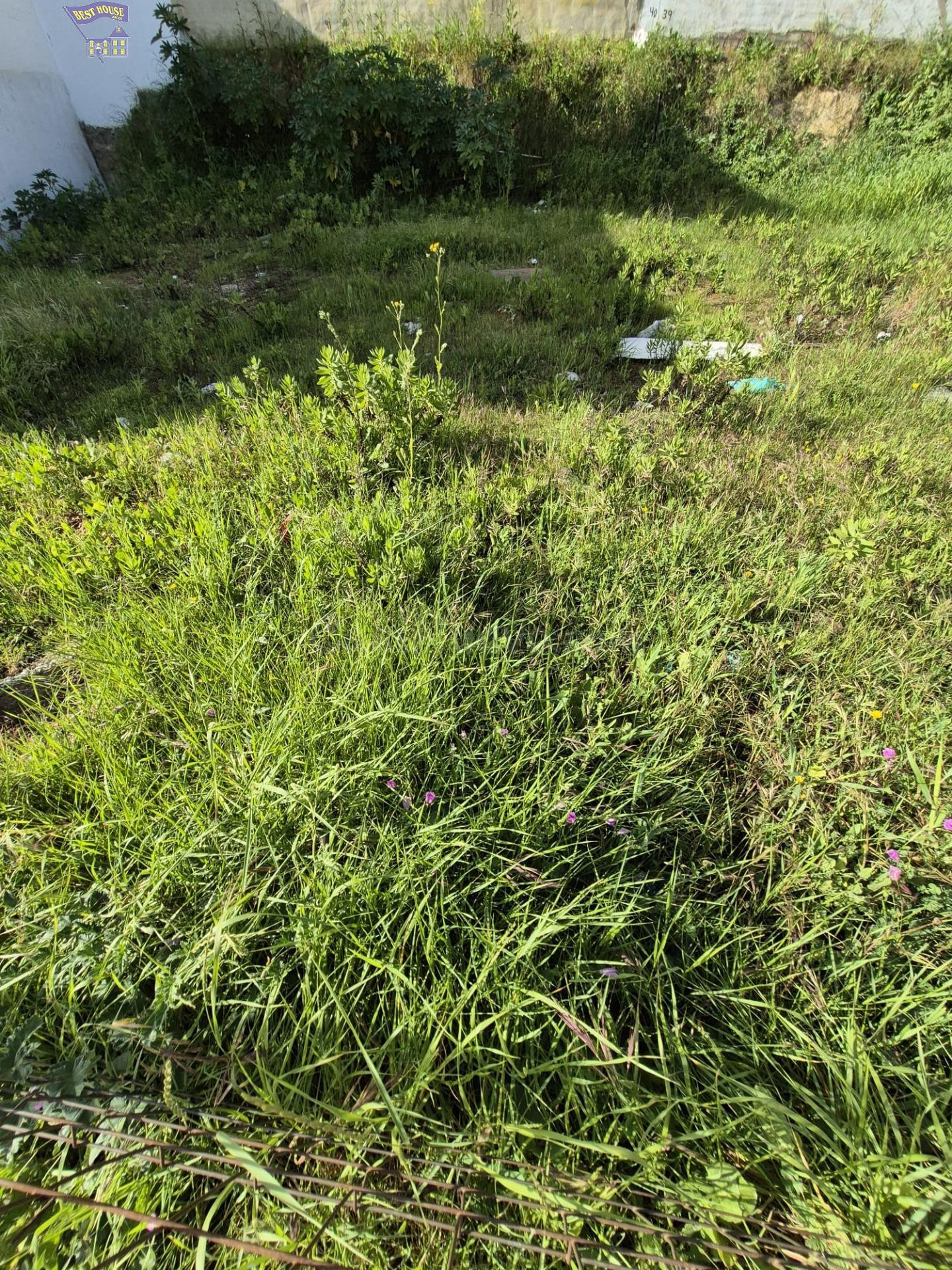 SE VENDE SOLAR URBANO EN ZONA DEL PORTICHUELO - foto 2