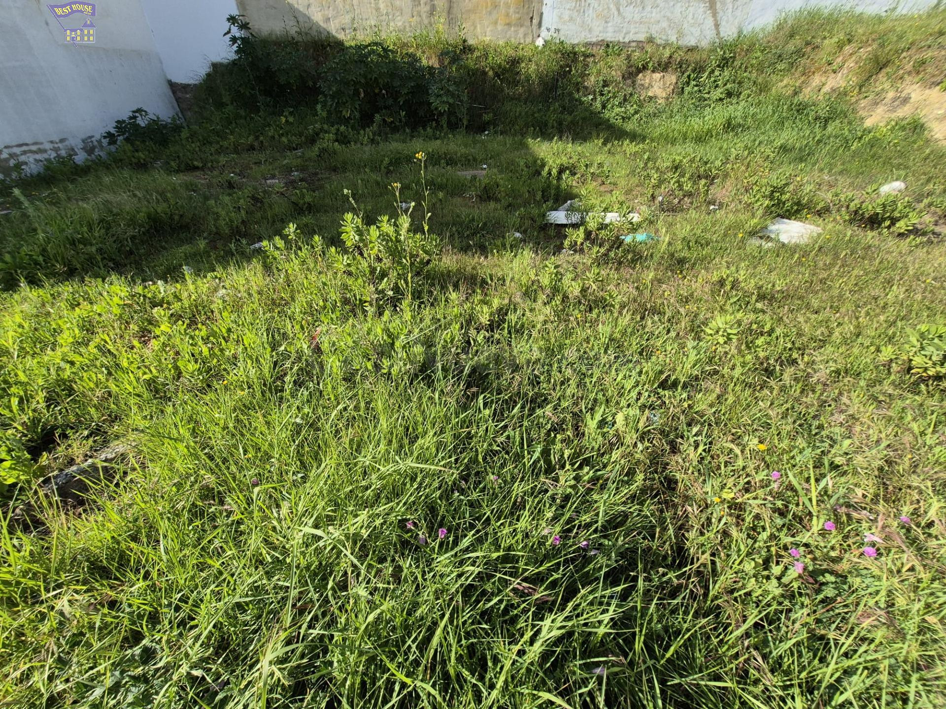 SE VENDE SOLAR URBANO EN ZONA DEL PORTICHUELO - foto 3
