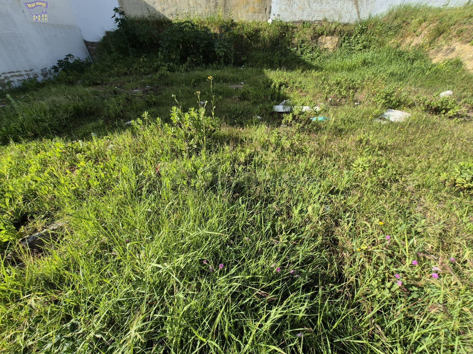 SE VENDE SOLAR URBANO EN ZONA DEL PORTICHUELO - foto 3
