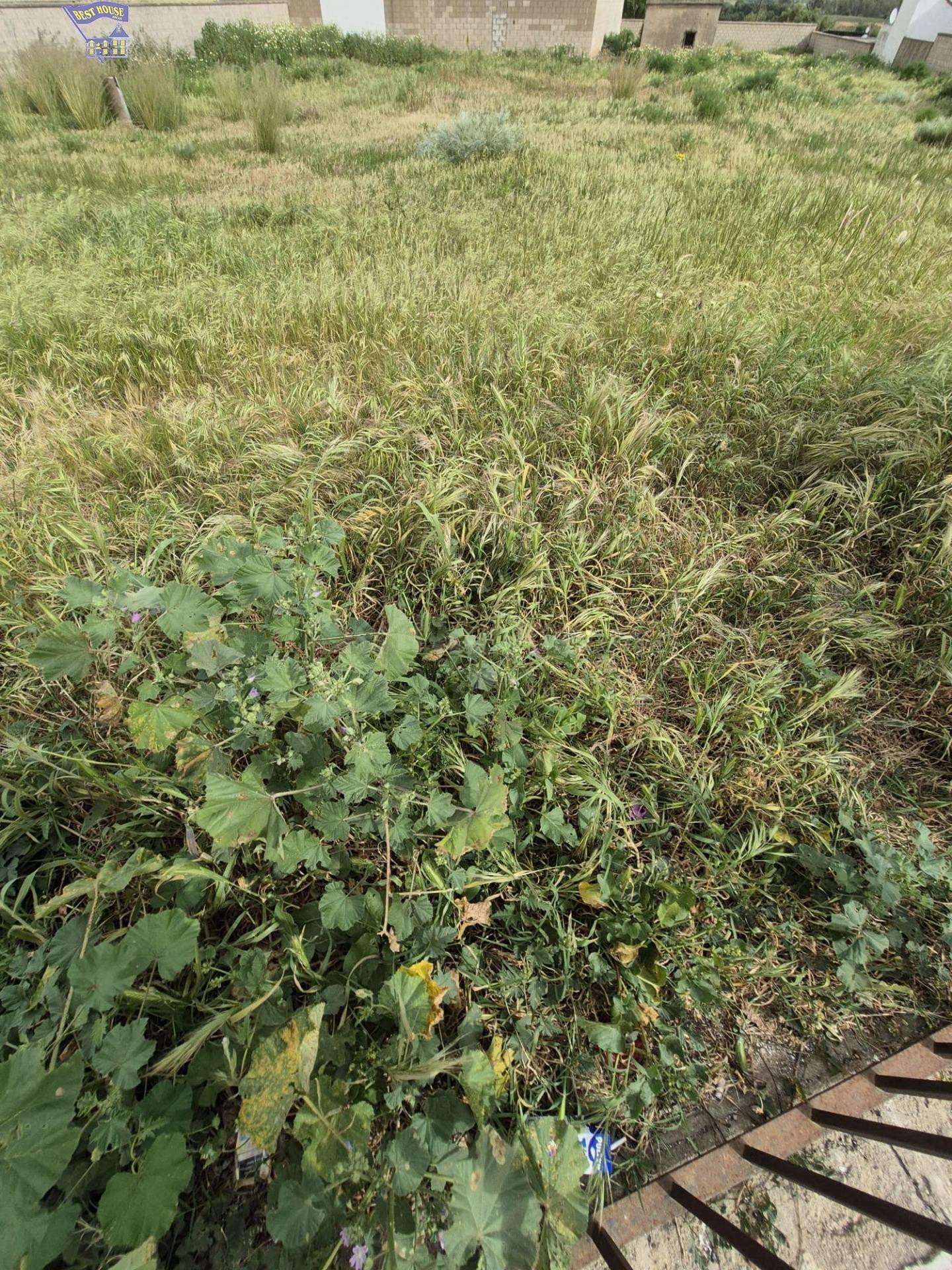 SE VENDE PARCELA EN ZONA DEL SANTISCAL