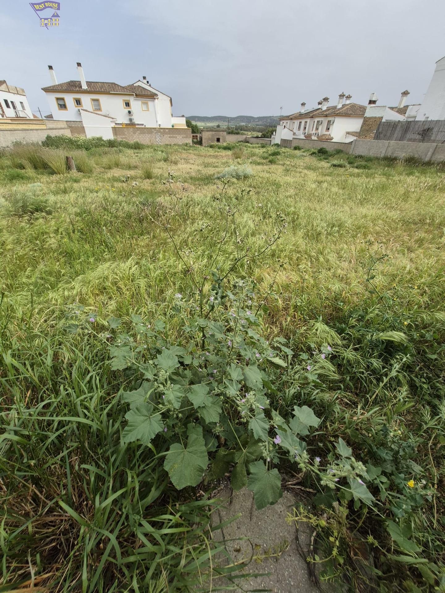 SE VENDE PARCELA EN ZONA DEL SANTISCAL - foto 2