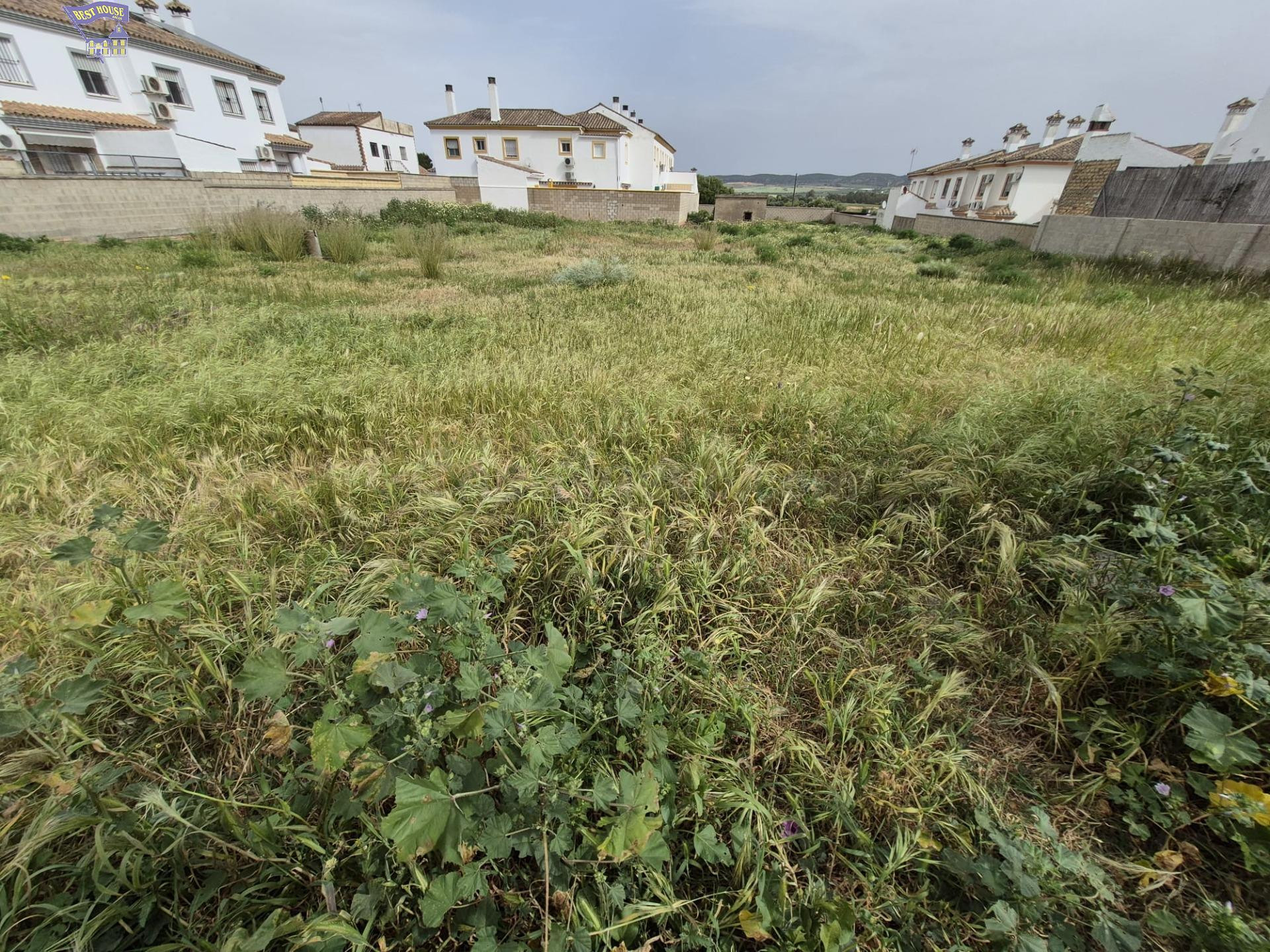 SE VENDE PARCELA EN ZONA DEL SANTISCAL - foto 3