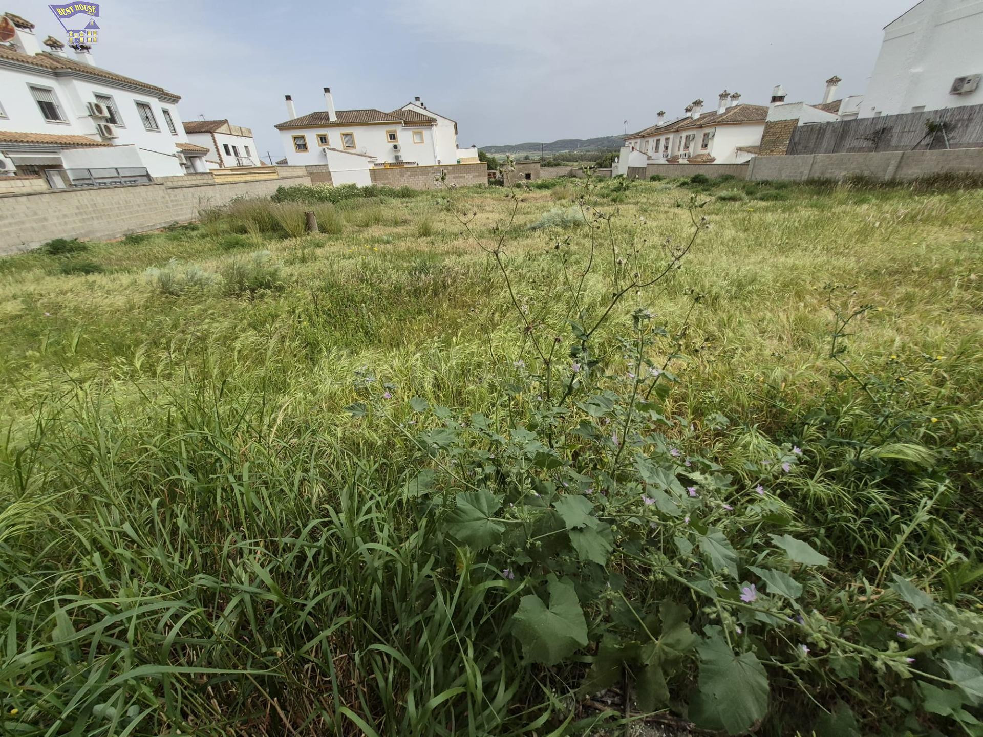SE VENDE PARCELA EN ZONA DEL SANTISCAL - foto 5