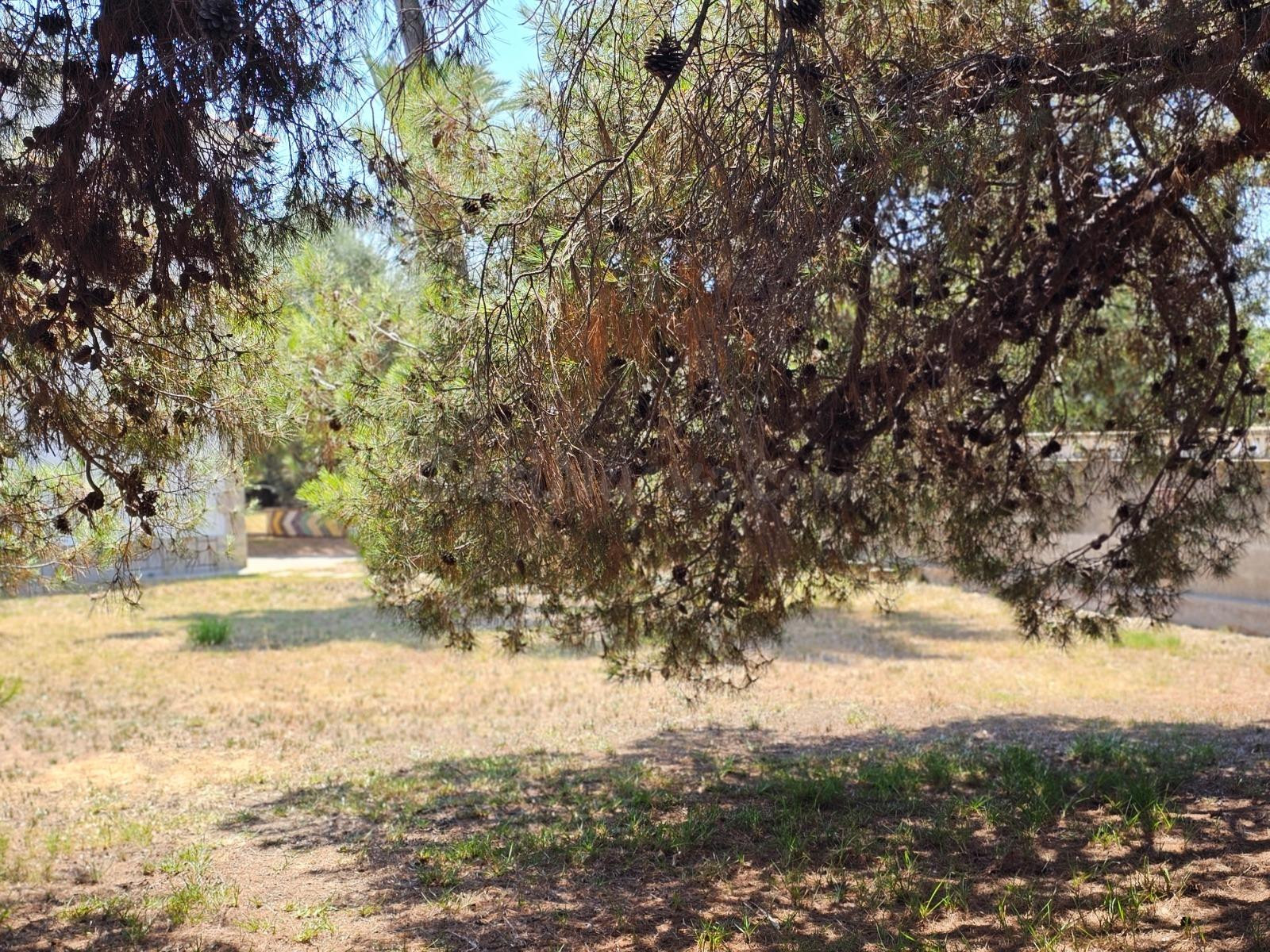 Parcela urbana en Playa de Castellón - foto 3