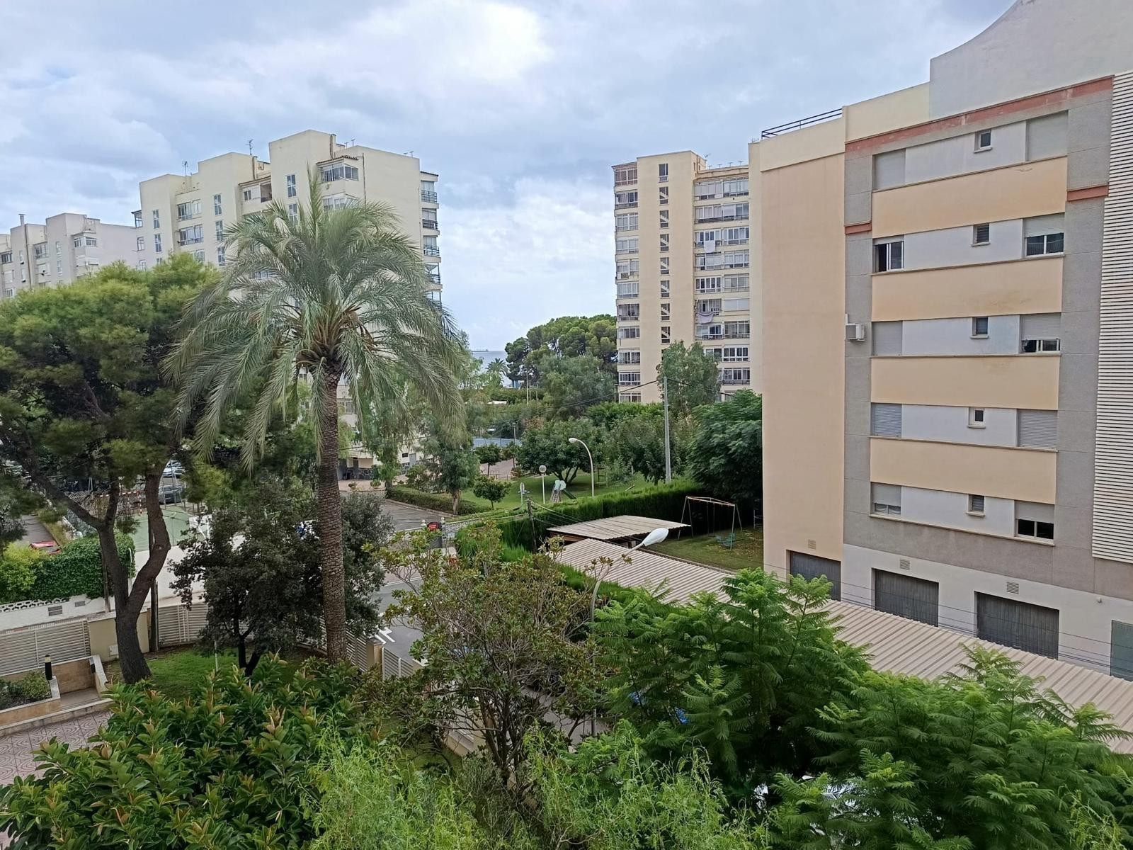 ALQUILER ANUAL APARTAMENTO EN LA ZONA DEL TORREÓN · BENICASI - foto 5