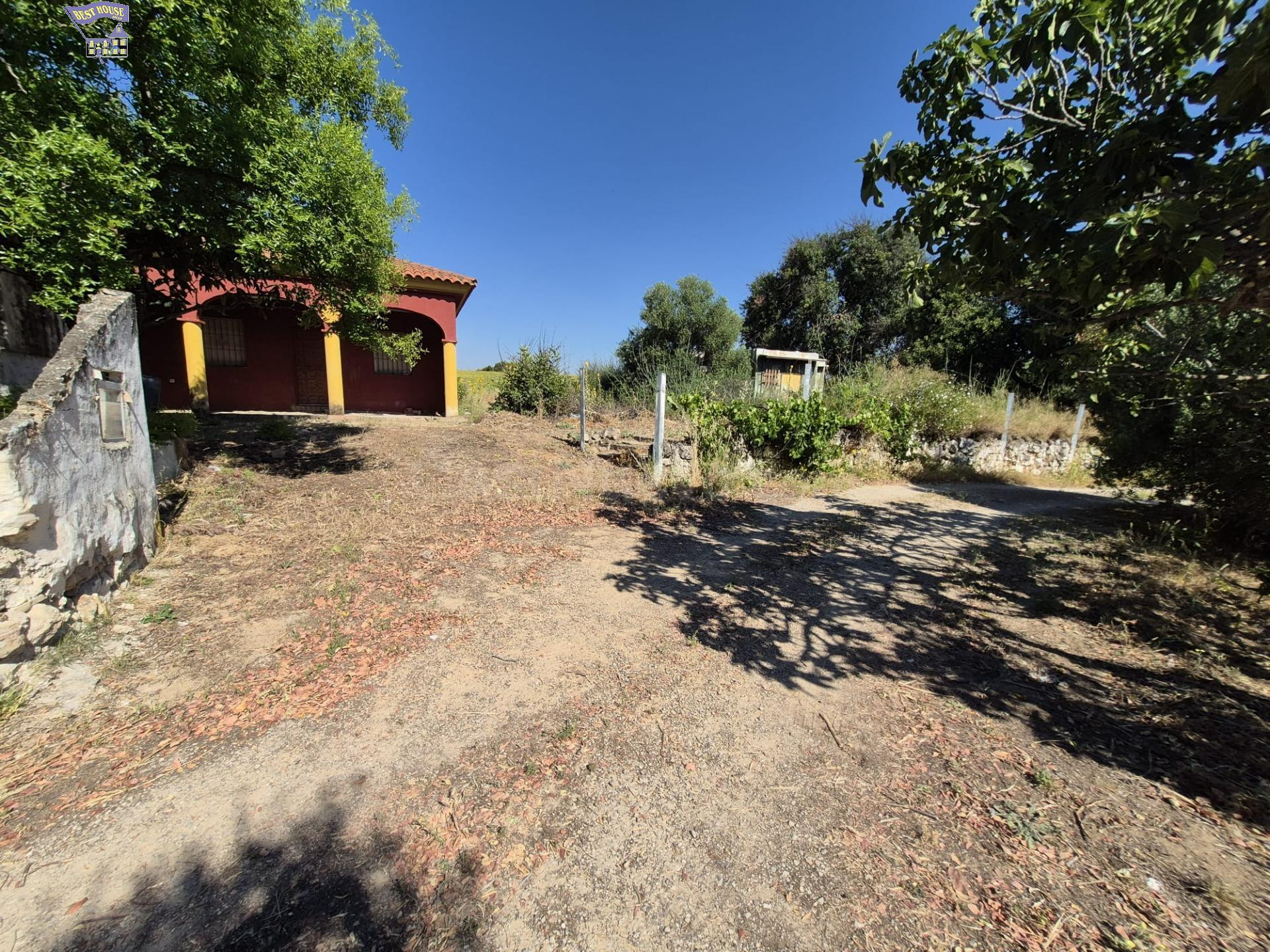 SE VENDE FINCA RÚSTICA EN ZONA CARRETERA ARCOS-ALGAR