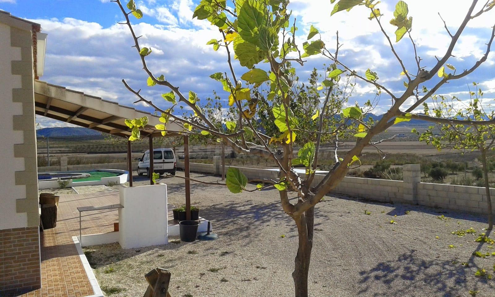 Casa 120m² en venta - Calasparra - foto 5