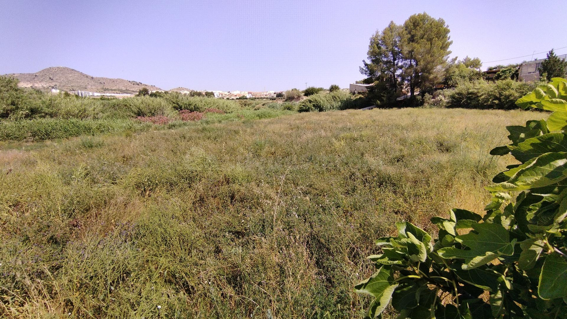 Parcela en venta - Calasparra