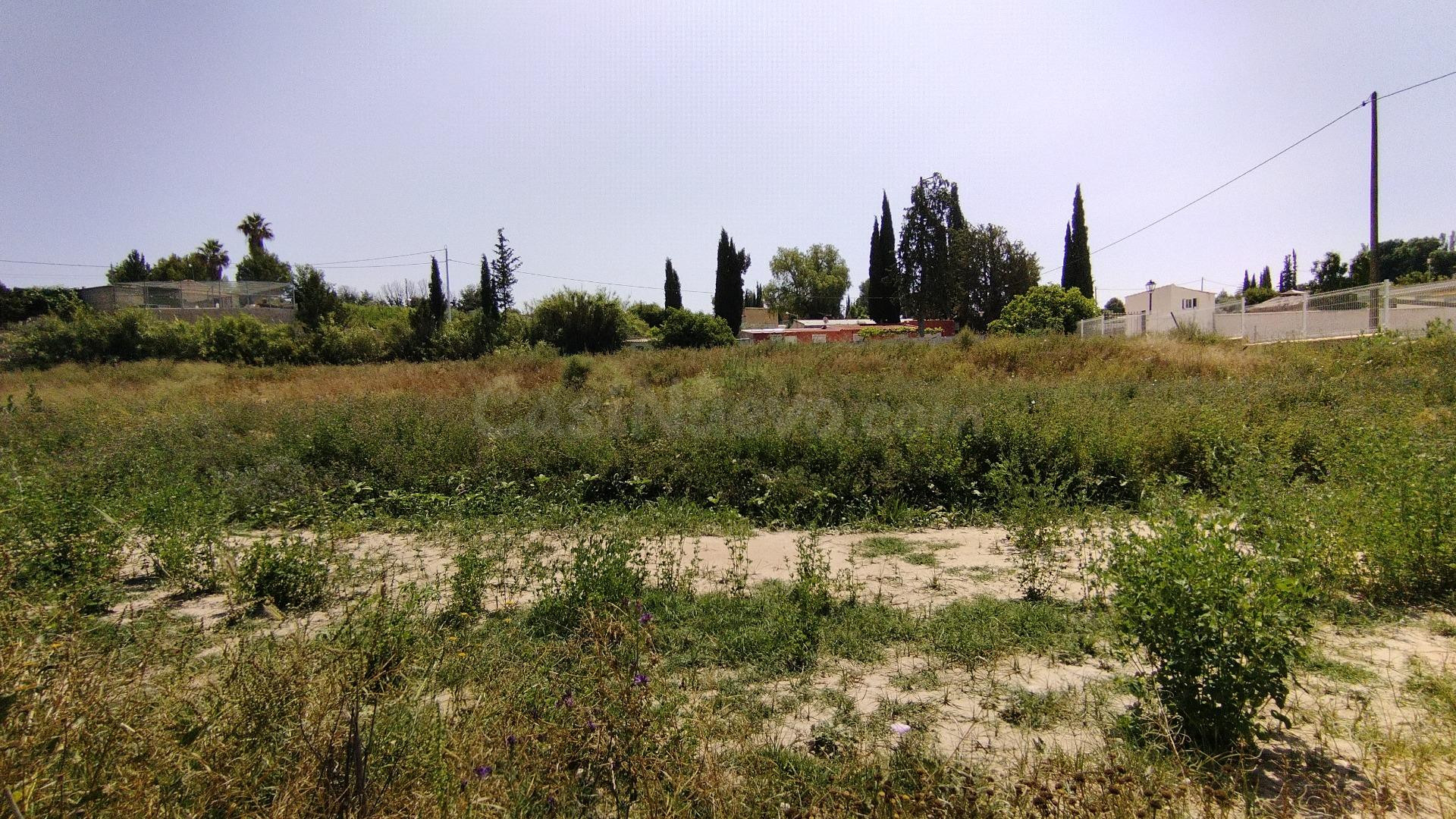 Parcela en venta - Calasparra - foto 2