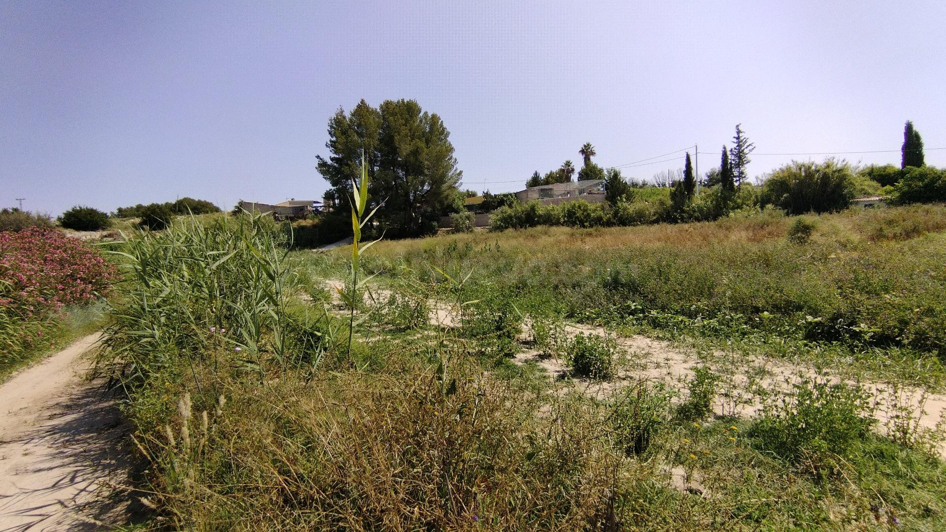 Parcela en venta - Calasparra - foto 3