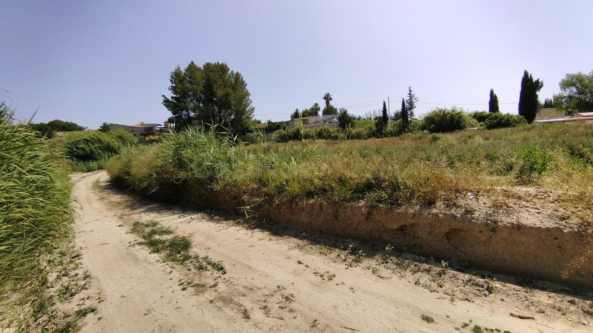 Parcela en venta - Calasparra - foto 4