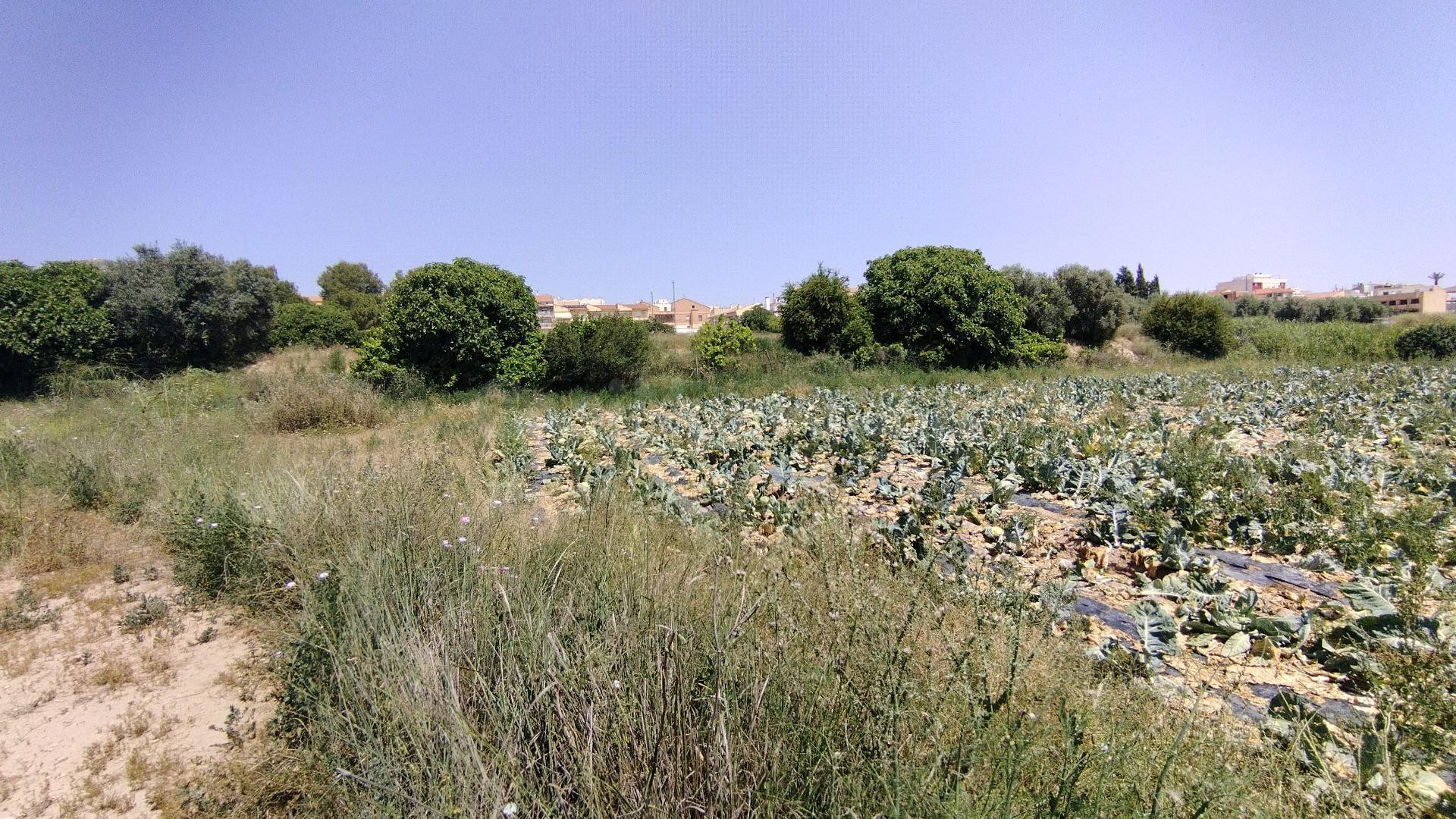 Parcela en venta - Calasparra centro - foto 3