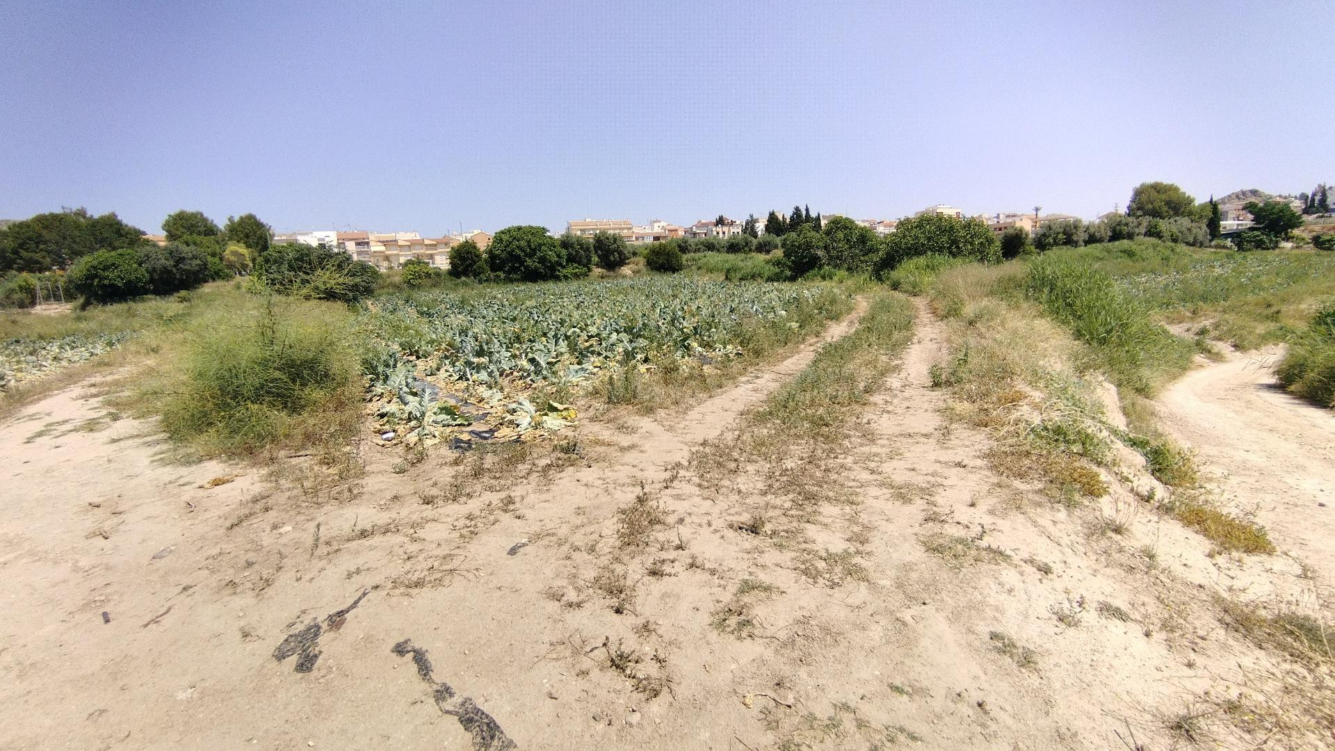 Parcela en venta - Calasparra centro - foto 4