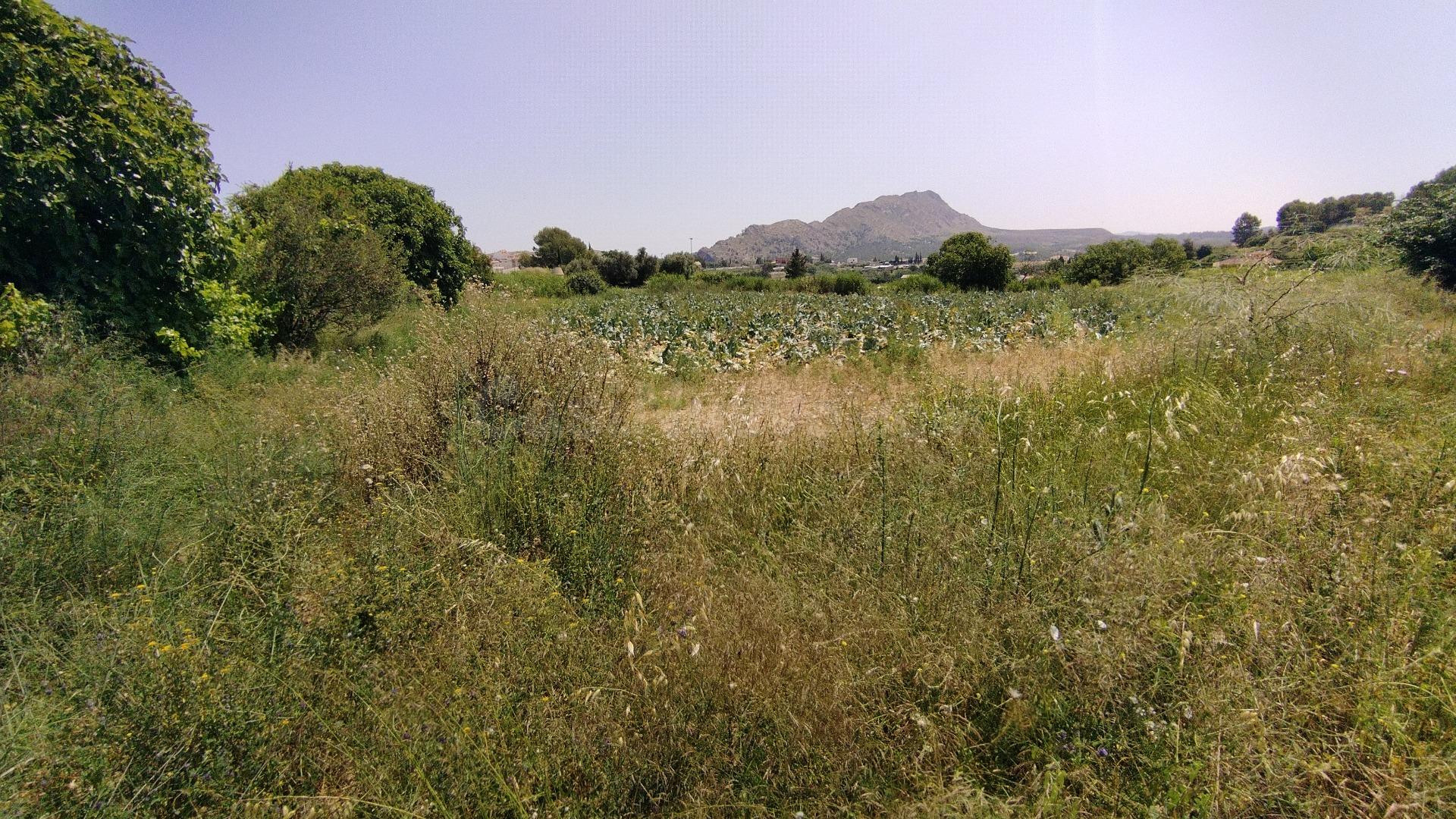Parcela en venta - Calasparra centro - foto 5