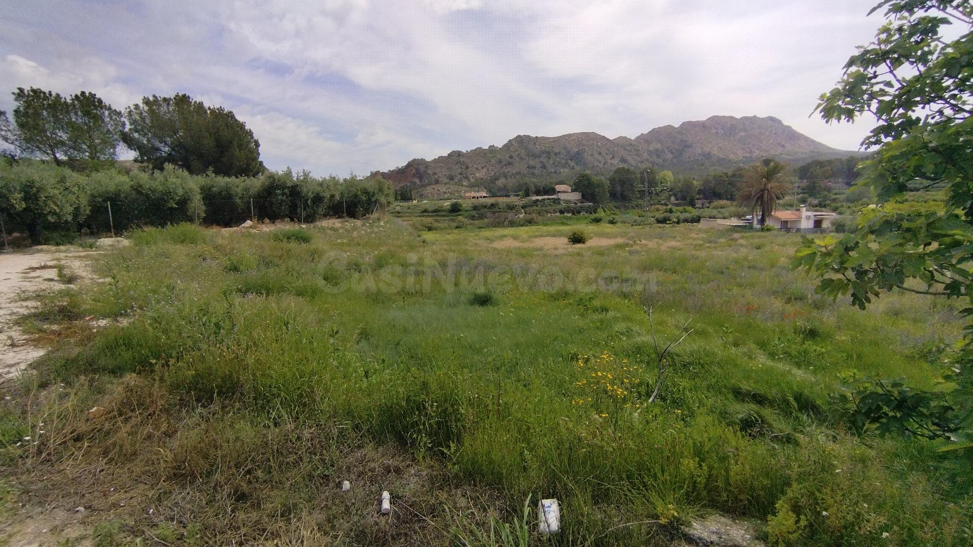 Parcela en venta - Calasparra