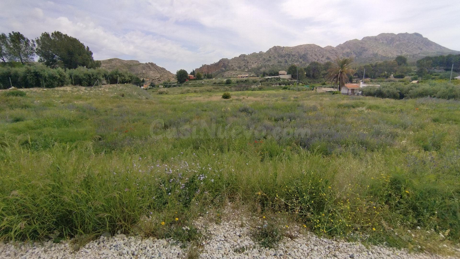 Parcela en venta - Calasparra - foto 2