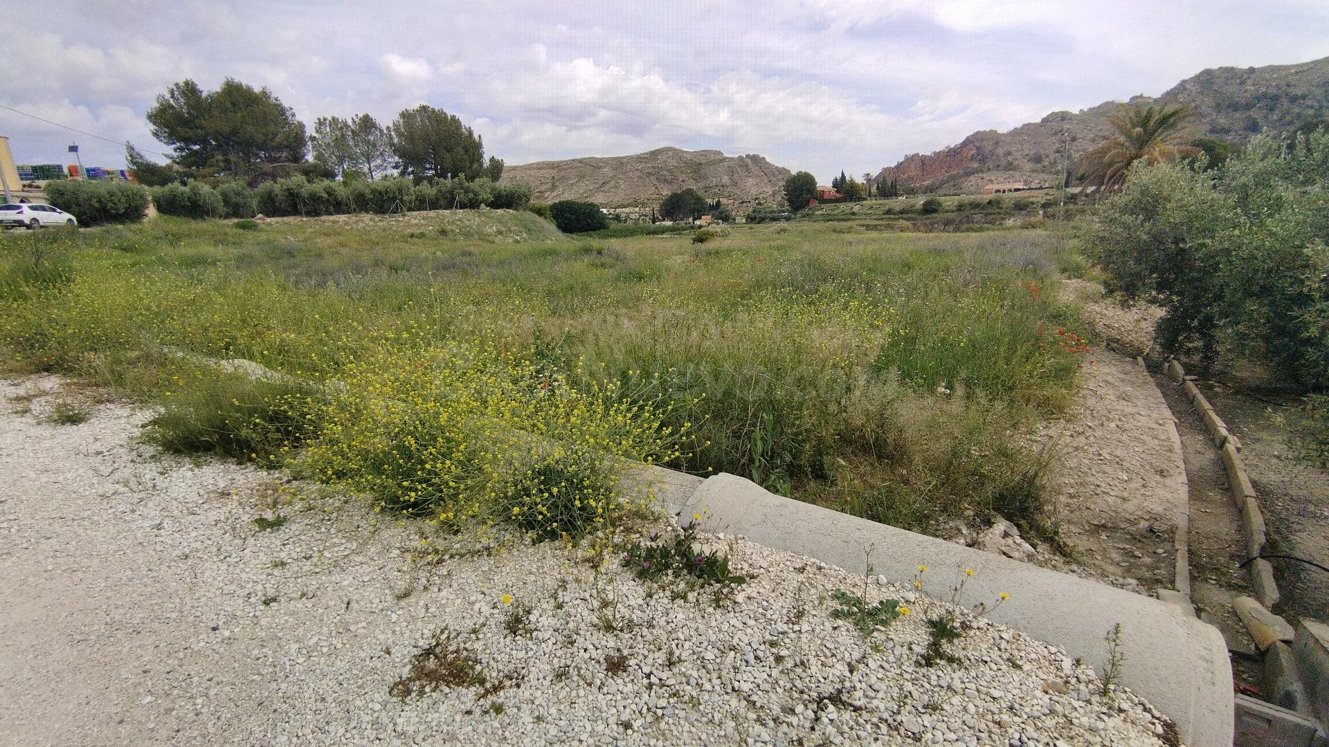 Parcela en venta - Calasparra - foto 3