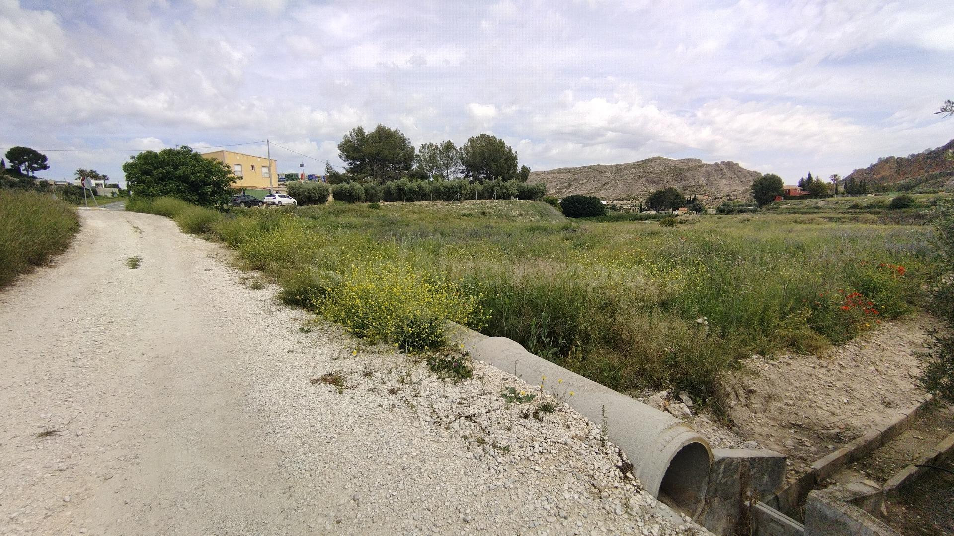 Parcela en venta - Calasparra - foto 4